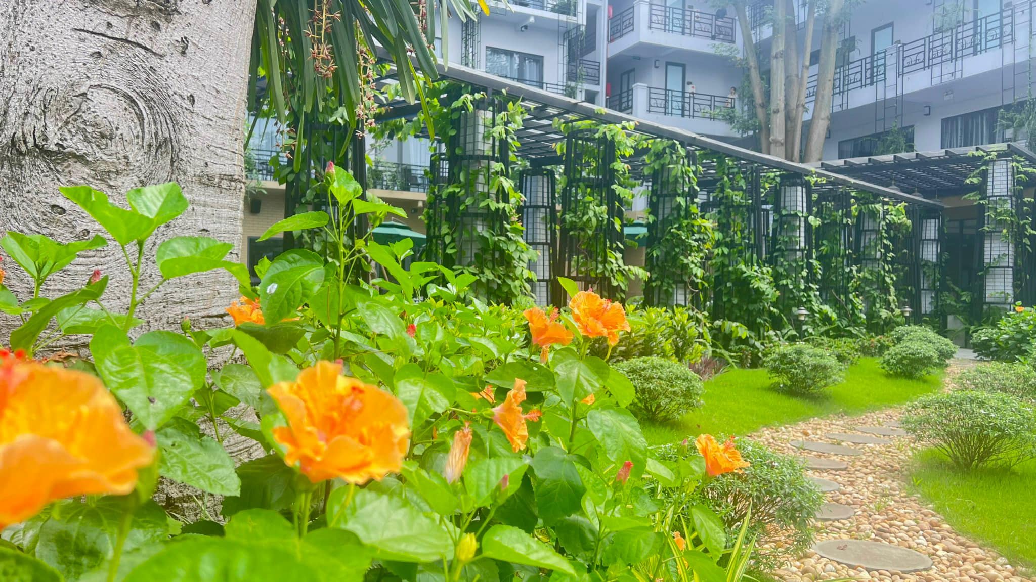 Khách sạn Thái Nguyên Xhotel với không gian xanh độc đáo